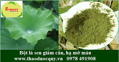 Bột lá sen