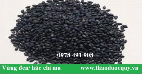 Vừng đen/ Mè đen/ Hắc chi ma Vừng đen/ Mè đen/ Hắc chi ma