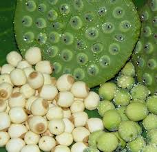 Món ăn, bài thuốc Bổ não