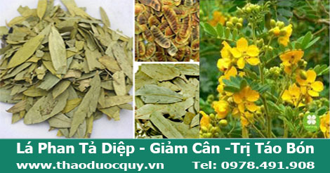 Phan Tả Diệp