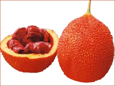 Hạt gấc trị viêm xoang