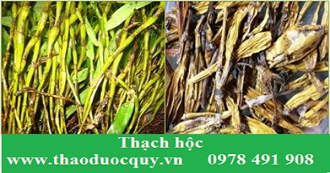Thạch hộc Thạch hộc