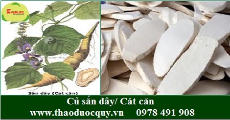 C&aacute;t căn
