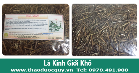 lá kinh giới phơi khô